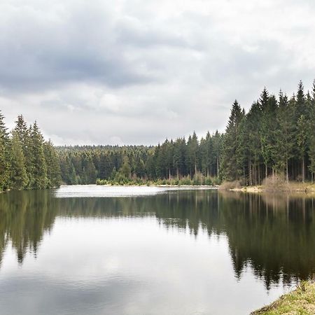 Ferienhaus Selke Am Bach Βίλα Clausthal-Zellerfeld Εξωτερικό φωτογραφία