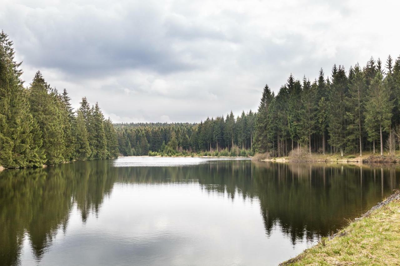 Ferienhaus Selke Am Bach Βίλα Clausthal-Zellerfeld Εξωτερικό φωτογραφία